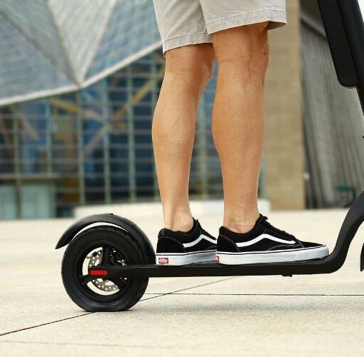 Bester Elektro Scooter Tretroller